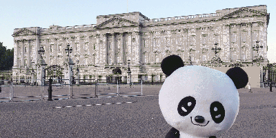 バッキンガム宮殿とマスコットパンダの写真